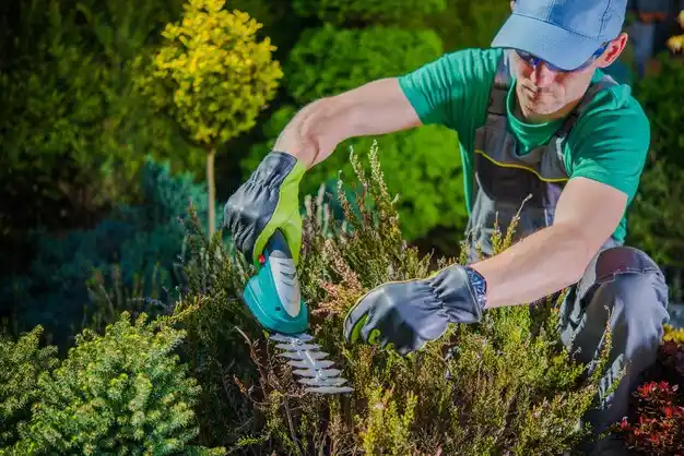 landscaping services Glen Head
